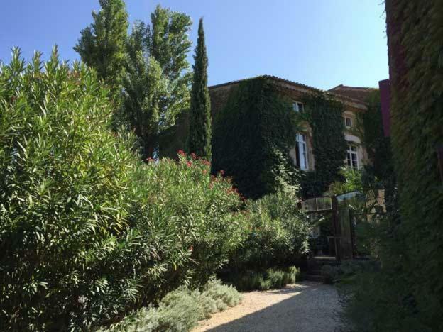Bed and Breakfast Les Aiguières en Provence à Suze-la-Rousse Extérieur photo