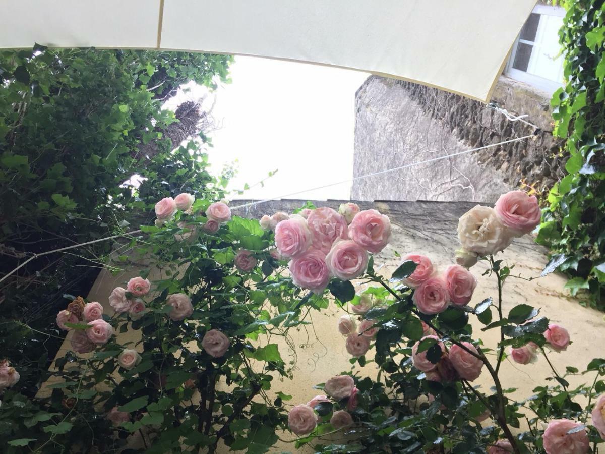 Bed and Breakfast Les Aiguières en Provence à Suze-la-Rousse Extérieur photo